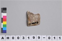 藏品(小型磨製玉錛)的圖片